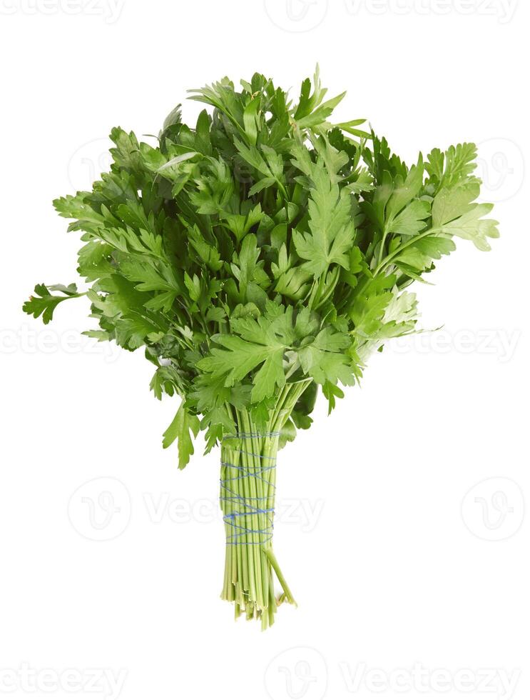 parsley on white photo