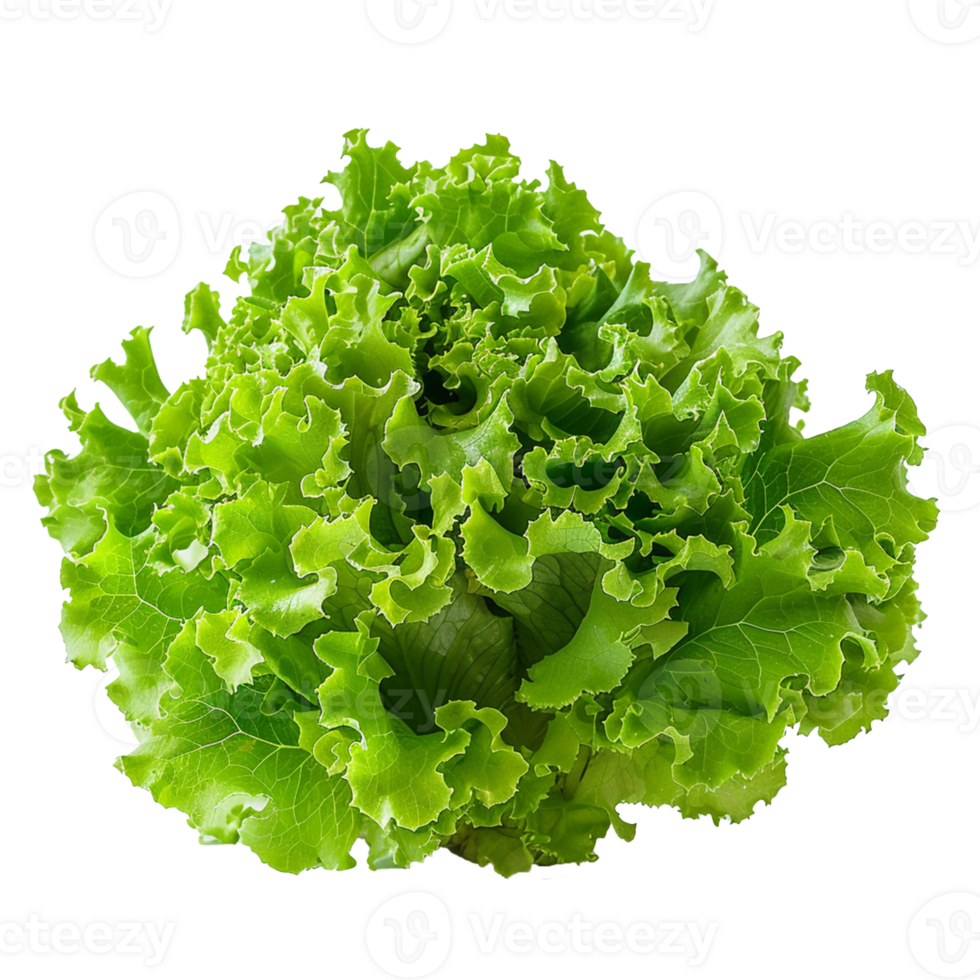 Vegetable isolated on transparent background png