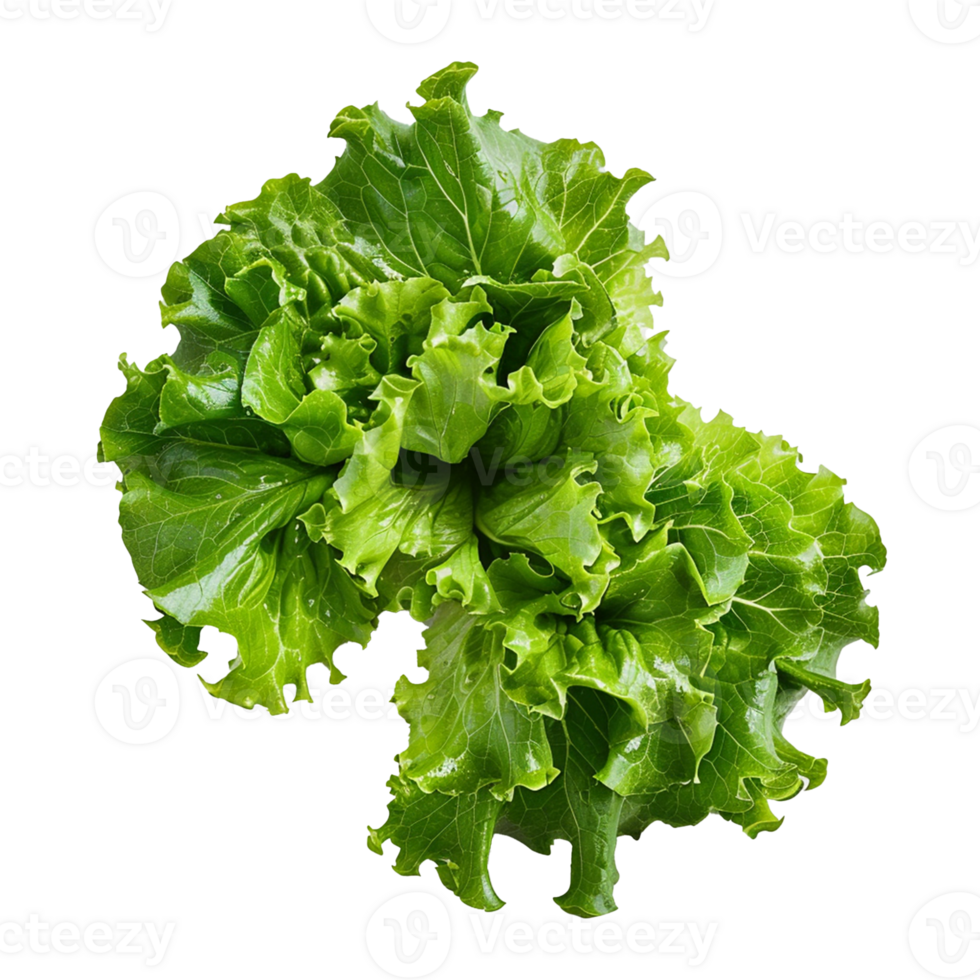 Vegetable isolated on transparent background png