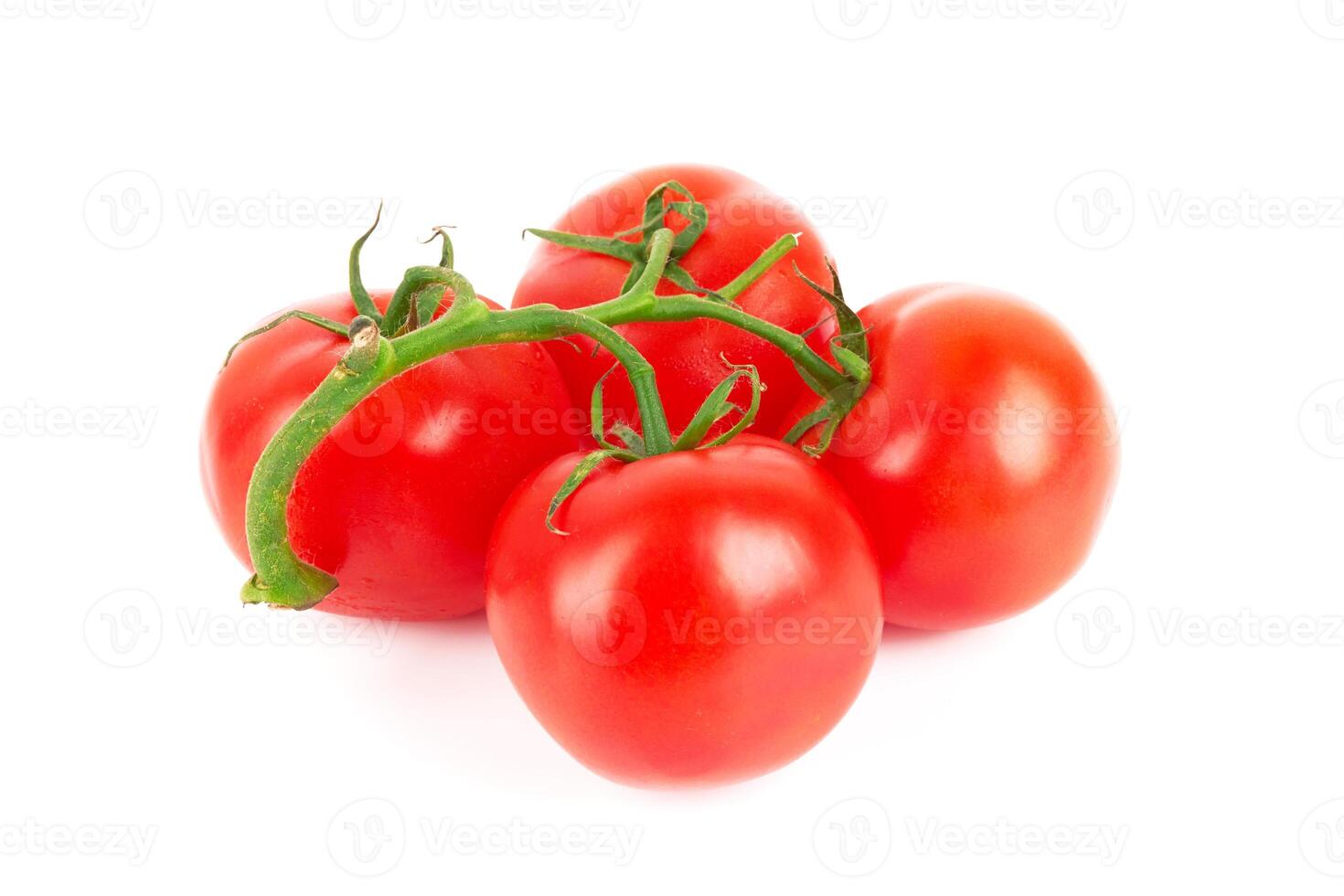 tomatoes on white photo