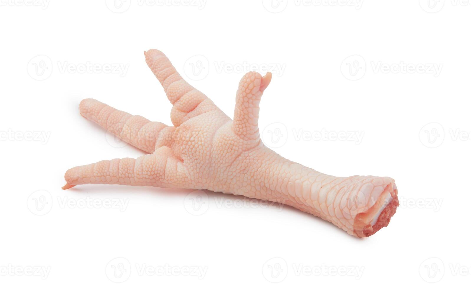 Raw chicken feet photo