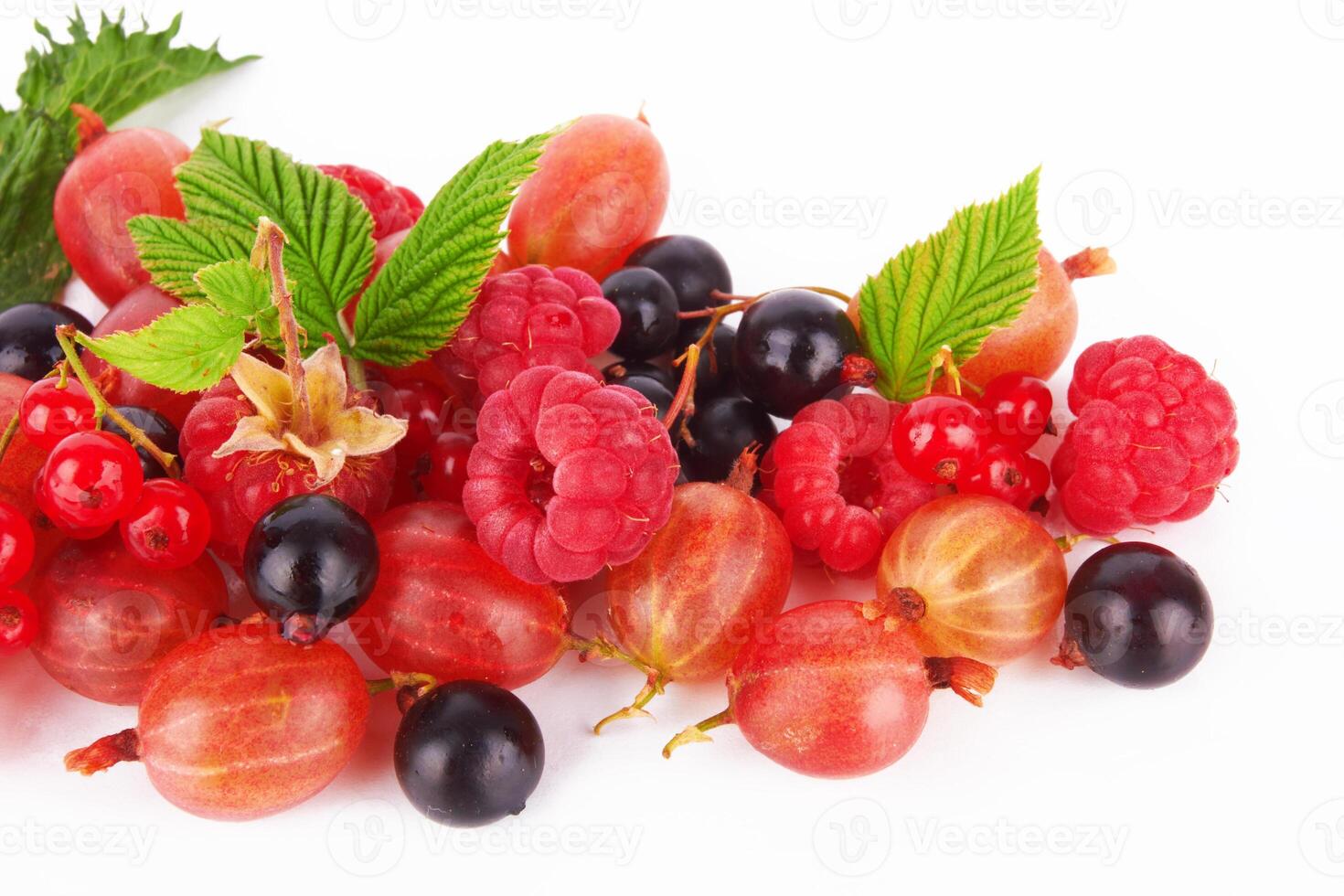 berries on white photo