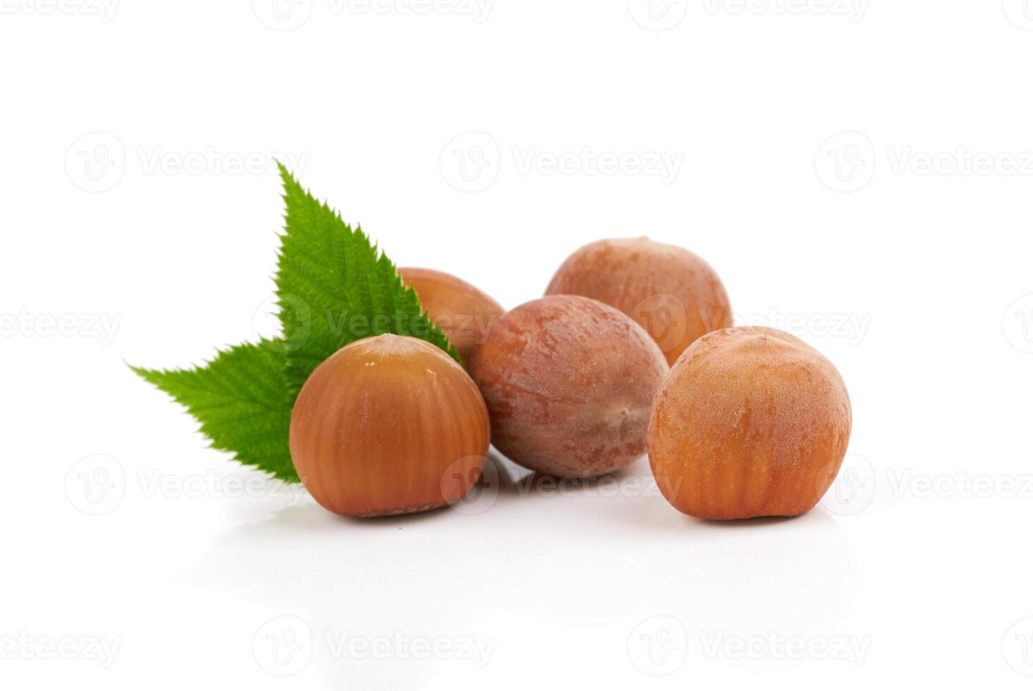 nuts on white photo