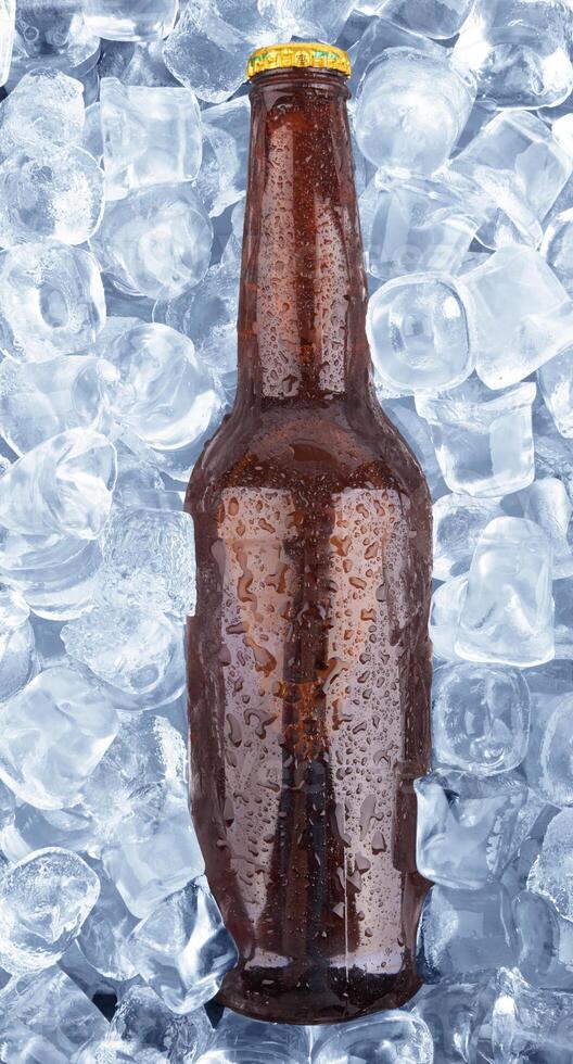 beer on white photo