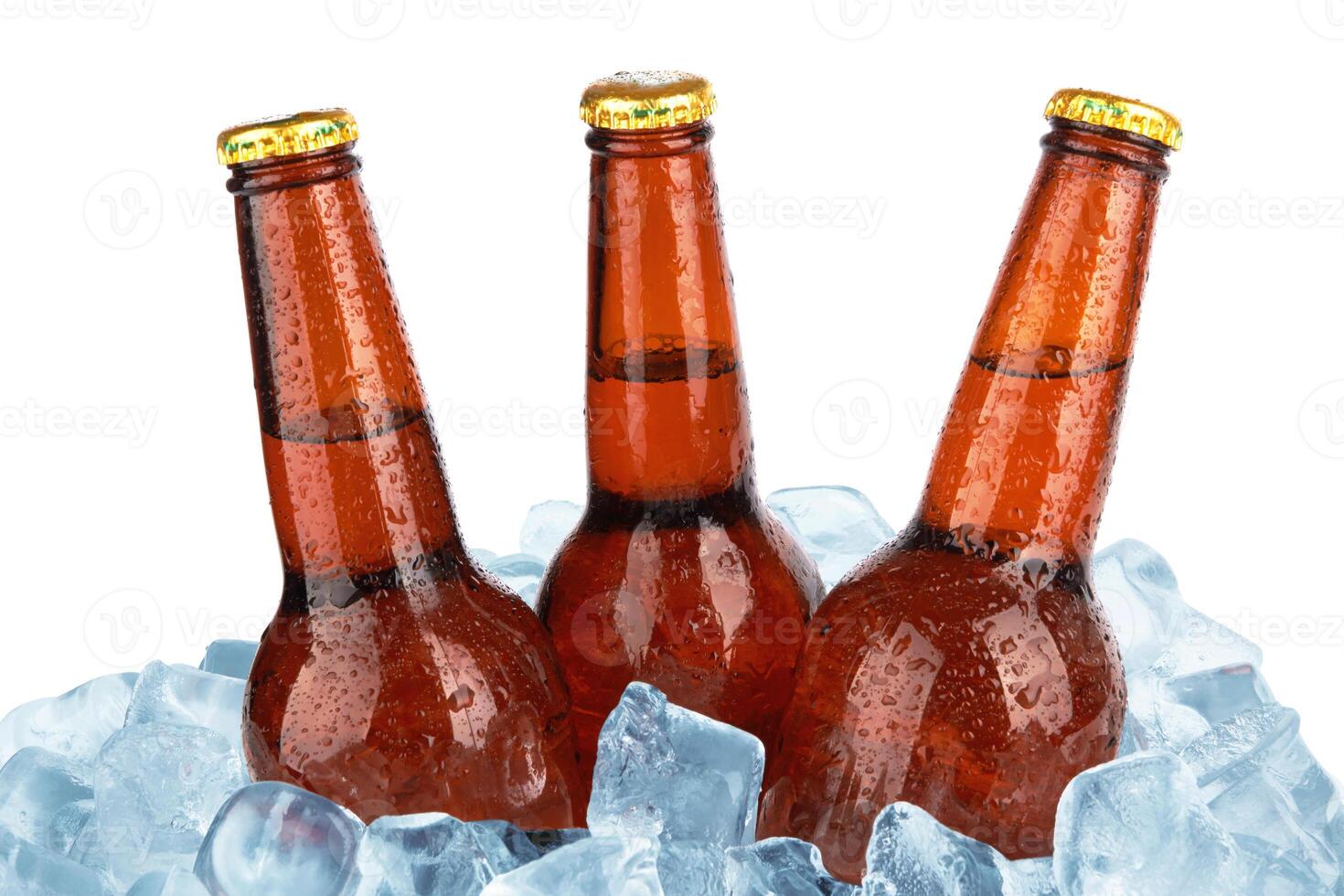 beer bottles on white photo