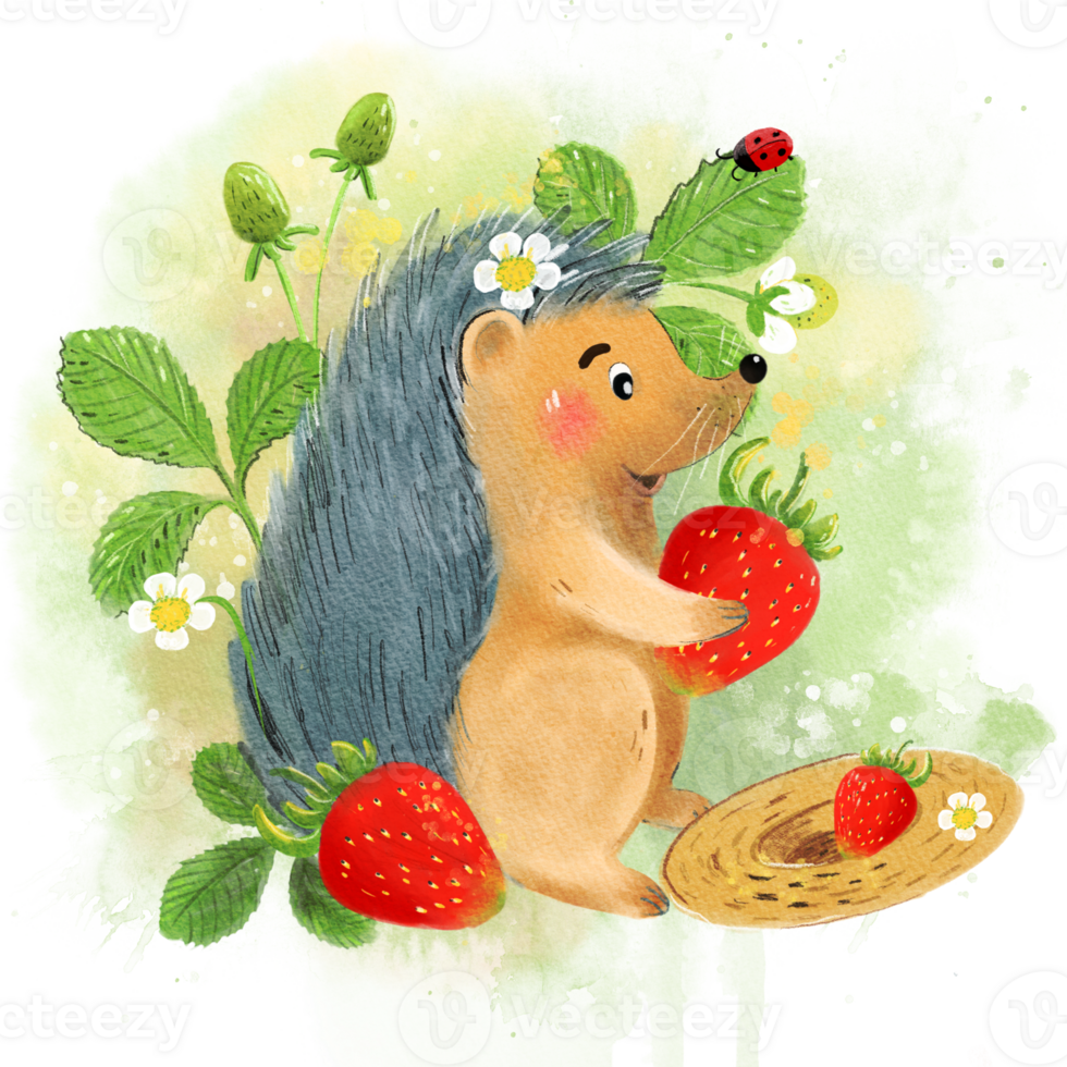 linda erizo personaje como un Clásico jardinero es participación un fresa. primavera o verano jardín trabajo niños mano dibujado acuarela ilustración en un transparente antecedentes. png