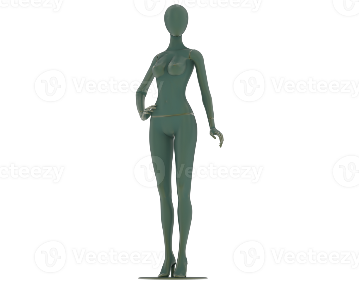 Female mannequin whole isolated on background. 3d rendering - illustration png
