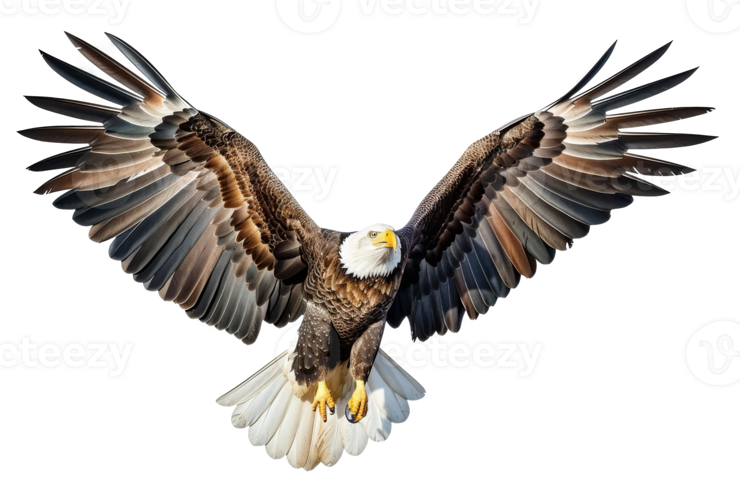 Majestic bald eagle in flight against a transparent sky png