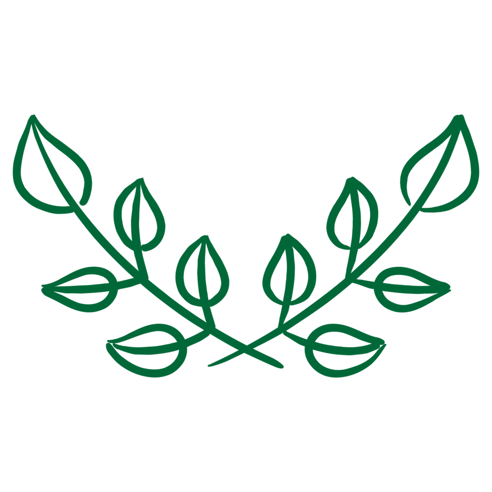 Branches, Laurel branch png