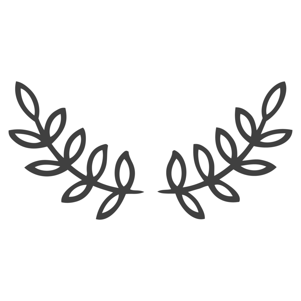 Branches, Laurel branch png