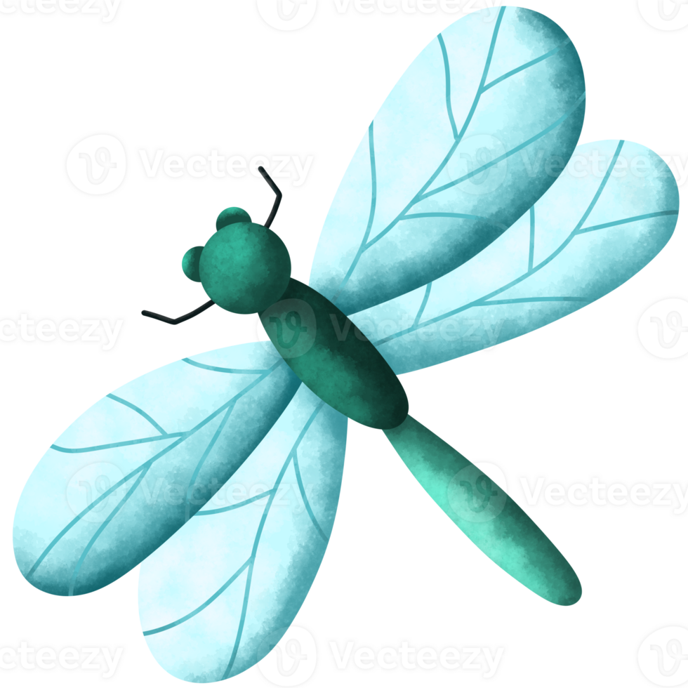 Dragonfly cute watercolor insect png