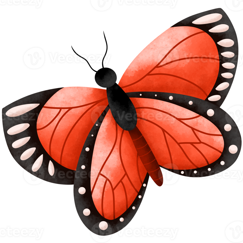 Butterfly cute watercolor insect png