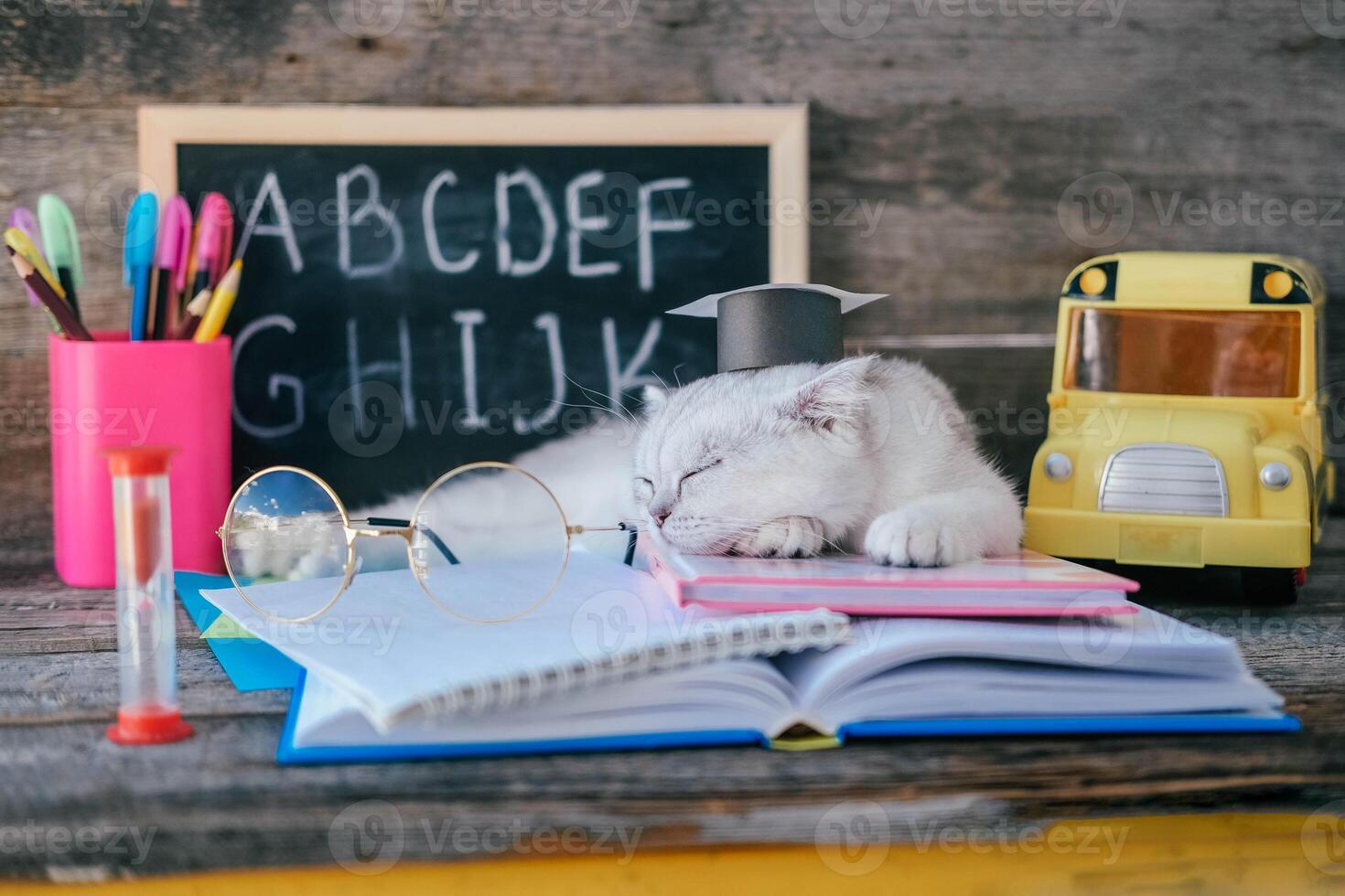 A small white kitten in a graduates hat and glasses for vision and sleeps on open books against the background of a school board with the English alphabet. The cat is tired of doing homework. photo