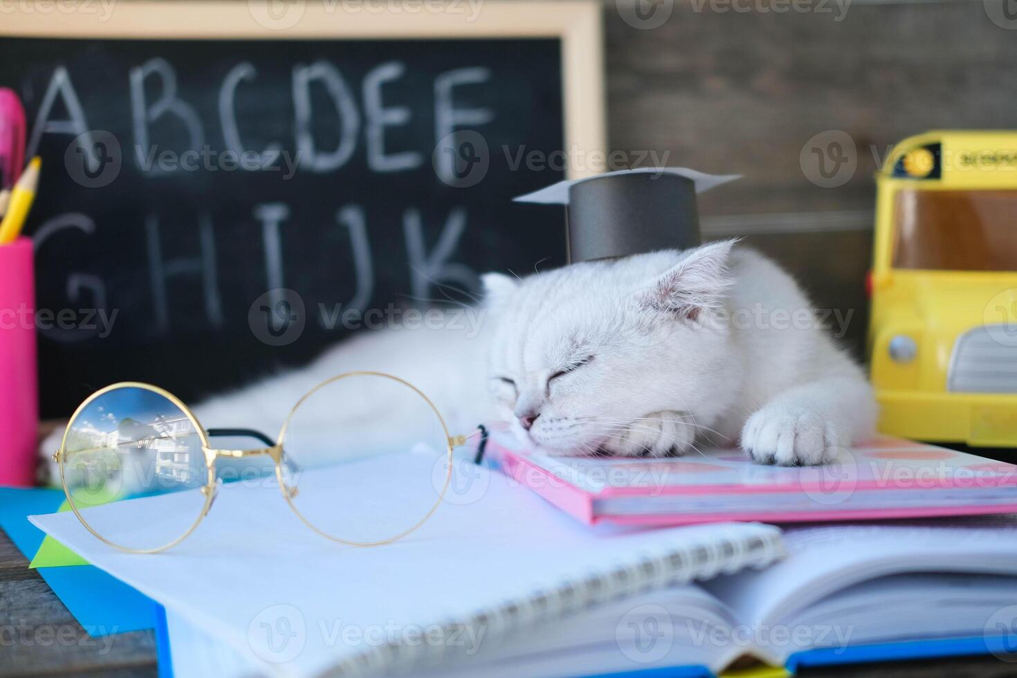 A small white kitten in a graduates hat and glasses for vision and sleeps on open books against the background of a school board with the English alphabet. The cat is tired of doing homework. photo