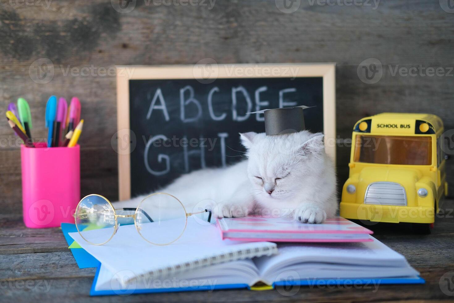 A small white kitten sleeps on open books against the background of a school board with the English alphabet. The cat is tired of doing homework. photo