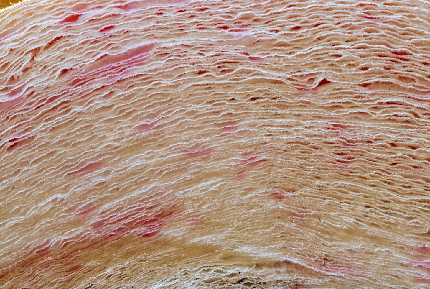 Detailed Close-up of a roll of soft toilet paper. photo