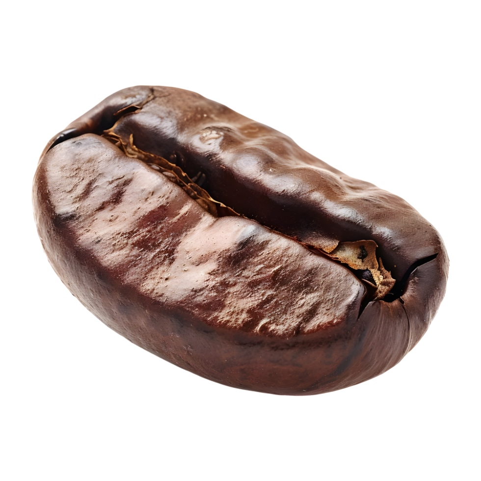 Brown Coffee Bean on Transparent Background png