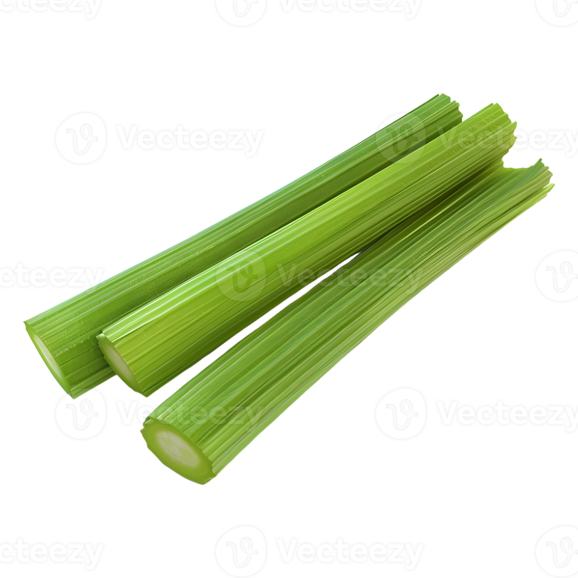 Celery sticks on Transparent Background 45764460 PNG