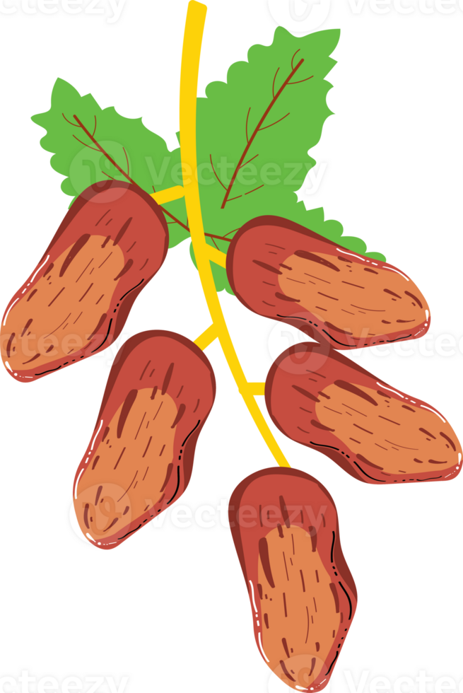 Dates Flat Design Ramadan Icon png