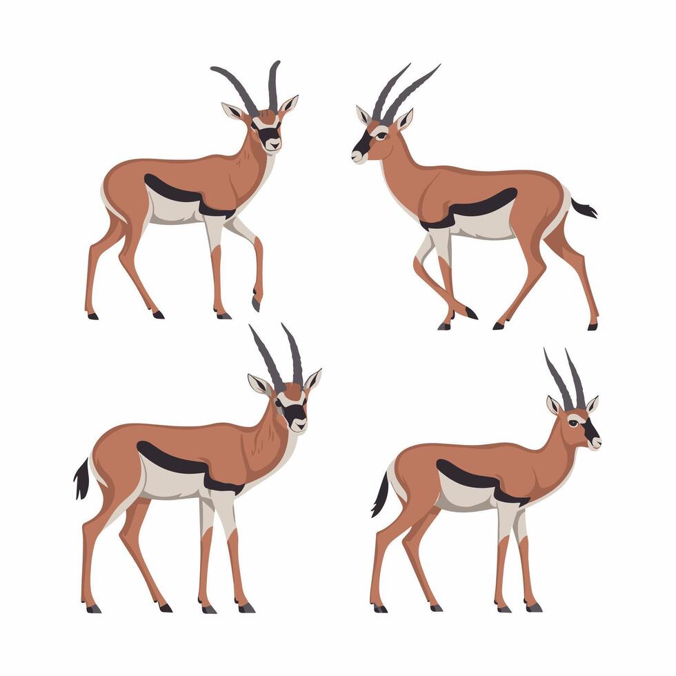 gazelle cartoon animal design flat illustration on white background side view antelope vector