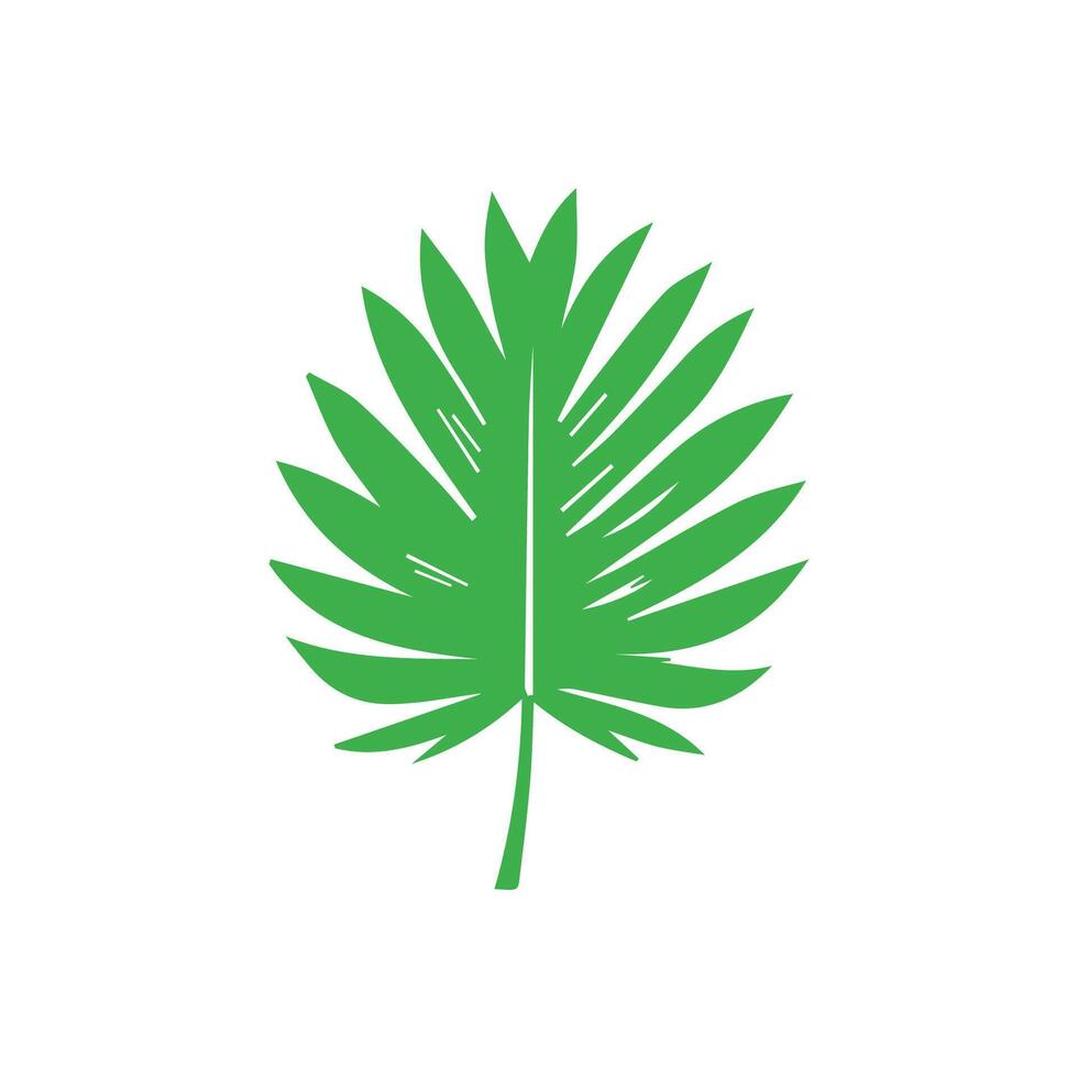 Green leaf. Leaves icon on isolated background. Collection green leaf. Elements design for natural, eco, vegan, bio labels vector
