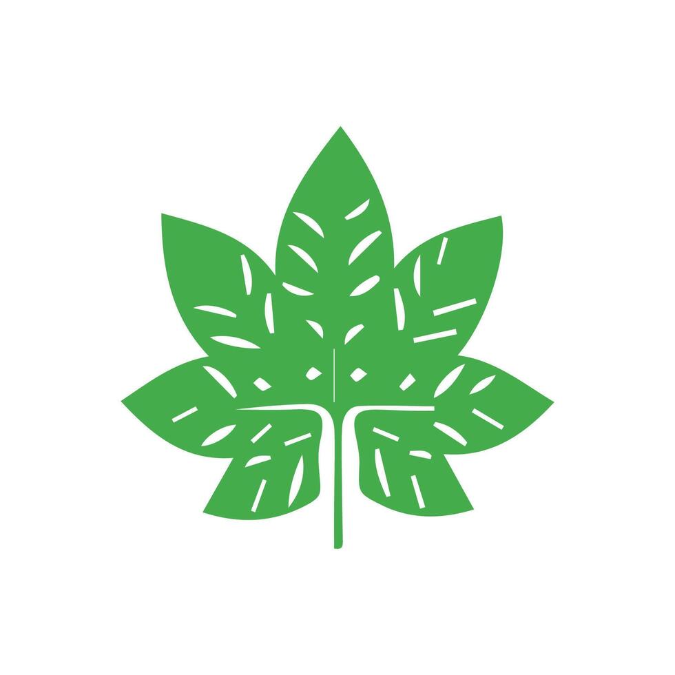 Green leaf. Leaves icon on isolated background. Collection green leaf. Elements design for natural, eco, vegan, bio labels vector