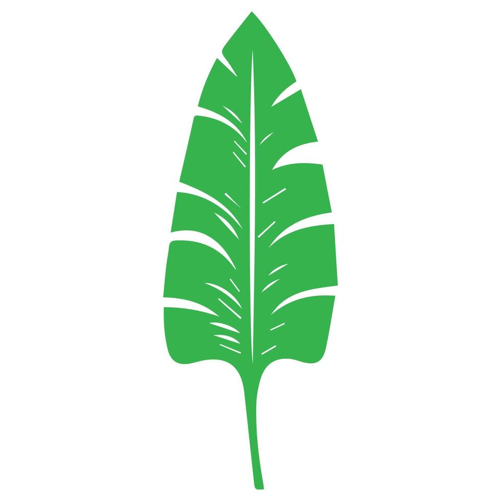 Green leaf icon. Leaves icon on isolated background. Collection green leaf. Elements design for natural, eco, vegan, bio labels vector