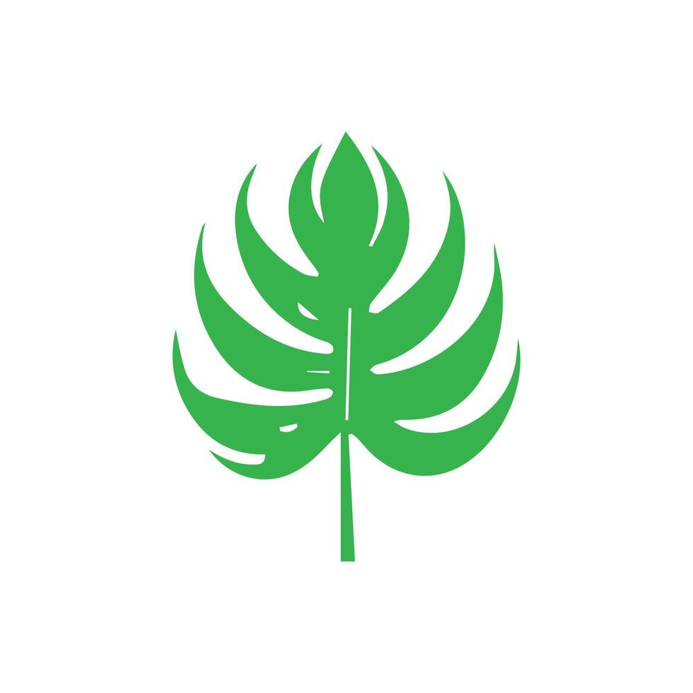 Green leaf icon. Leaves icon on isolated background. Collection green leaf. Elements design for natural, eco, vegan, bio labels vector