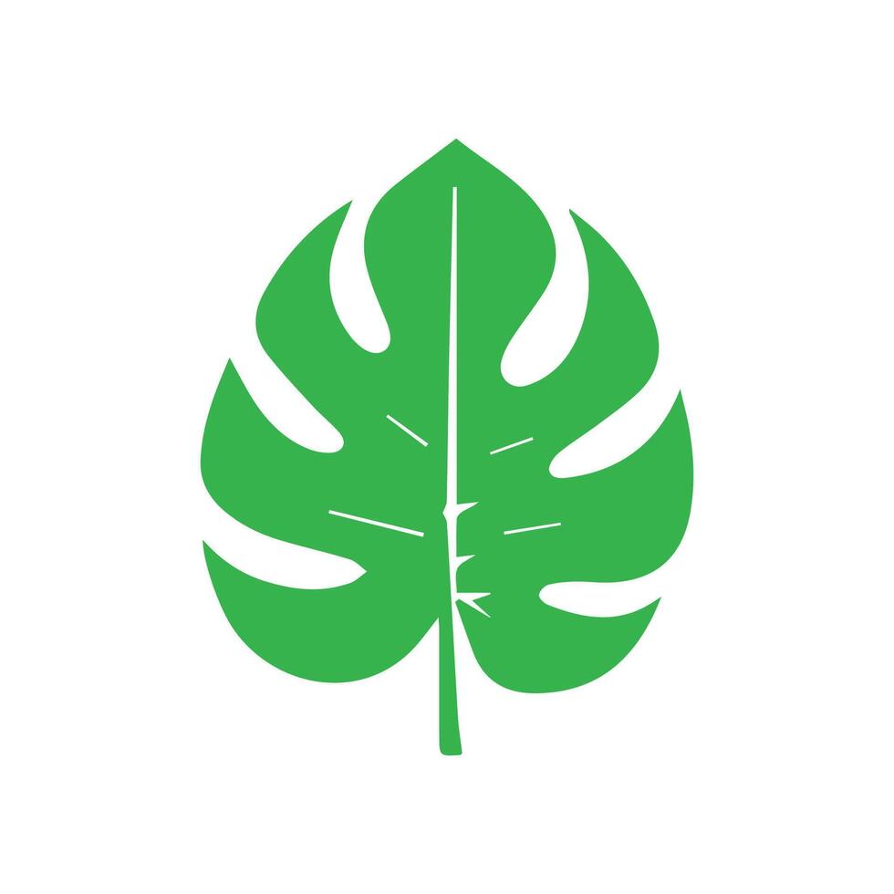 Green leaf icon. Leaves icon on isolated background. Collection green leaf. Elements design for natural, eco, vegan, bio labels vector