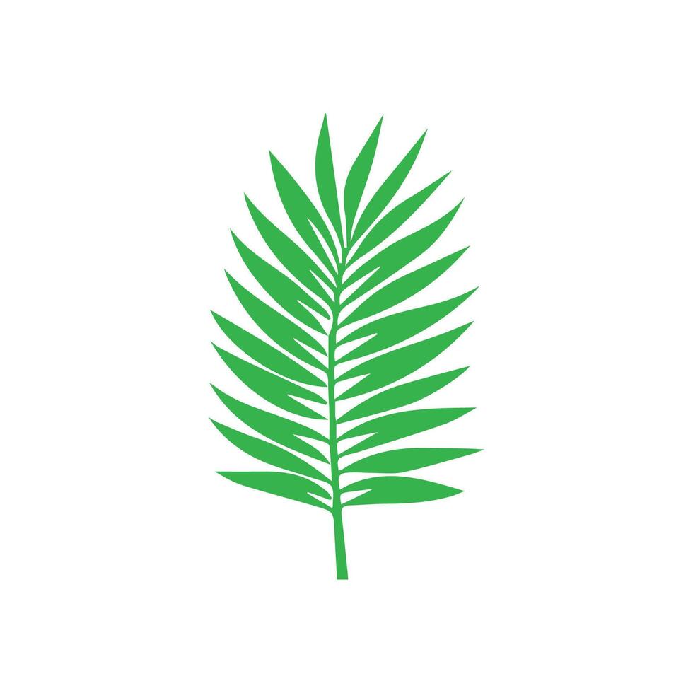 Green leaf icon. Leaves icon on isolated background. Collection green leaf. Elements design for natural, eco, vegan, bio labels vector
