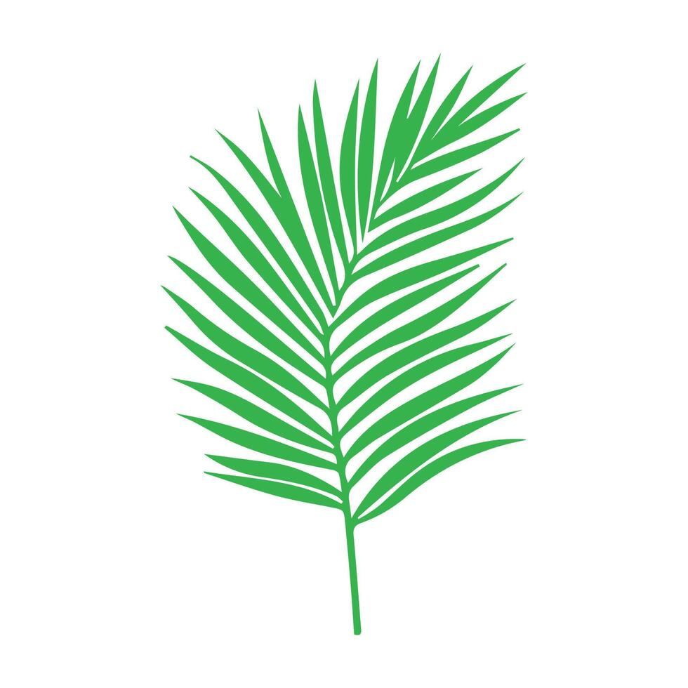 Green leaf icon. Leaves icon on isolated background. Collection green leaf. Elements design for natural, eco, vegan, bio labels vector