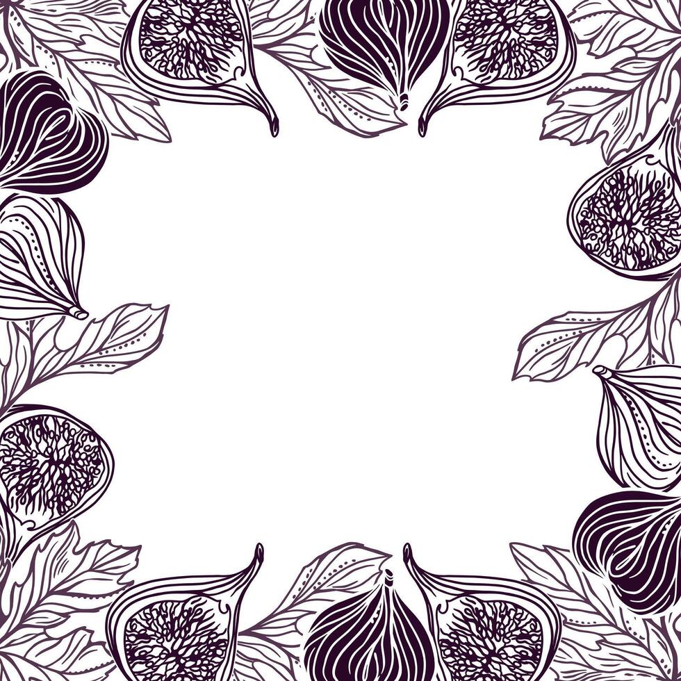 Figs square frame. Fruits and leaves. Illustration in graphic style. For cards, invitations, food and cosmetic labels, covers, menus, banners, posters. vector