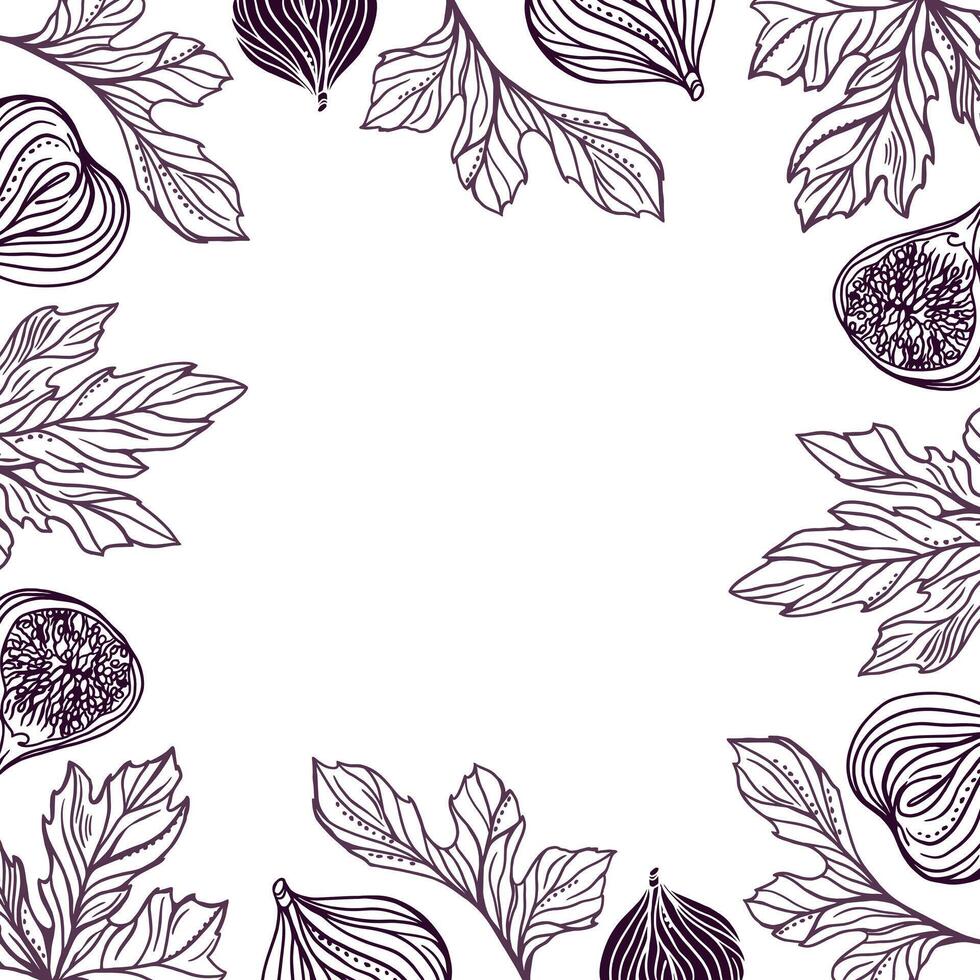 Figs square frame. With space to insert your text. Fruits and leaves. Illustration in graphic style. For cards, invitations, food and cosmetic labels, covers, menus, banners, posters. vector