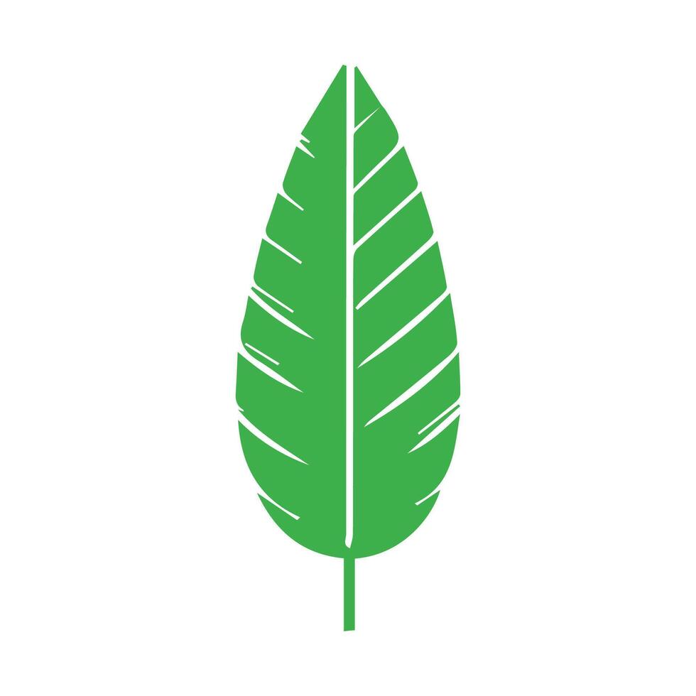 Green leaf. Leaves icon on isolated background. Collection green leaf. Elements design for natural, eco, vegan, bio labels vector