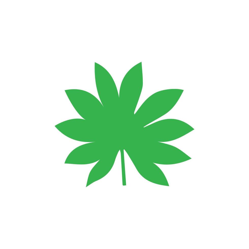 Green leaf icon. Leaves icon on isolated background. Collection green leaf. Elements design for natural, eco, vegan, bio labels vector