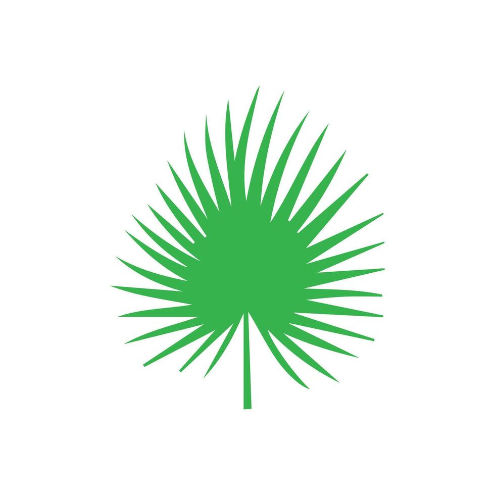 Green leaf icon. Leaves icon on isolated background. Collection green leaf. Elements design for natural, eco, vegan, bio labels vector