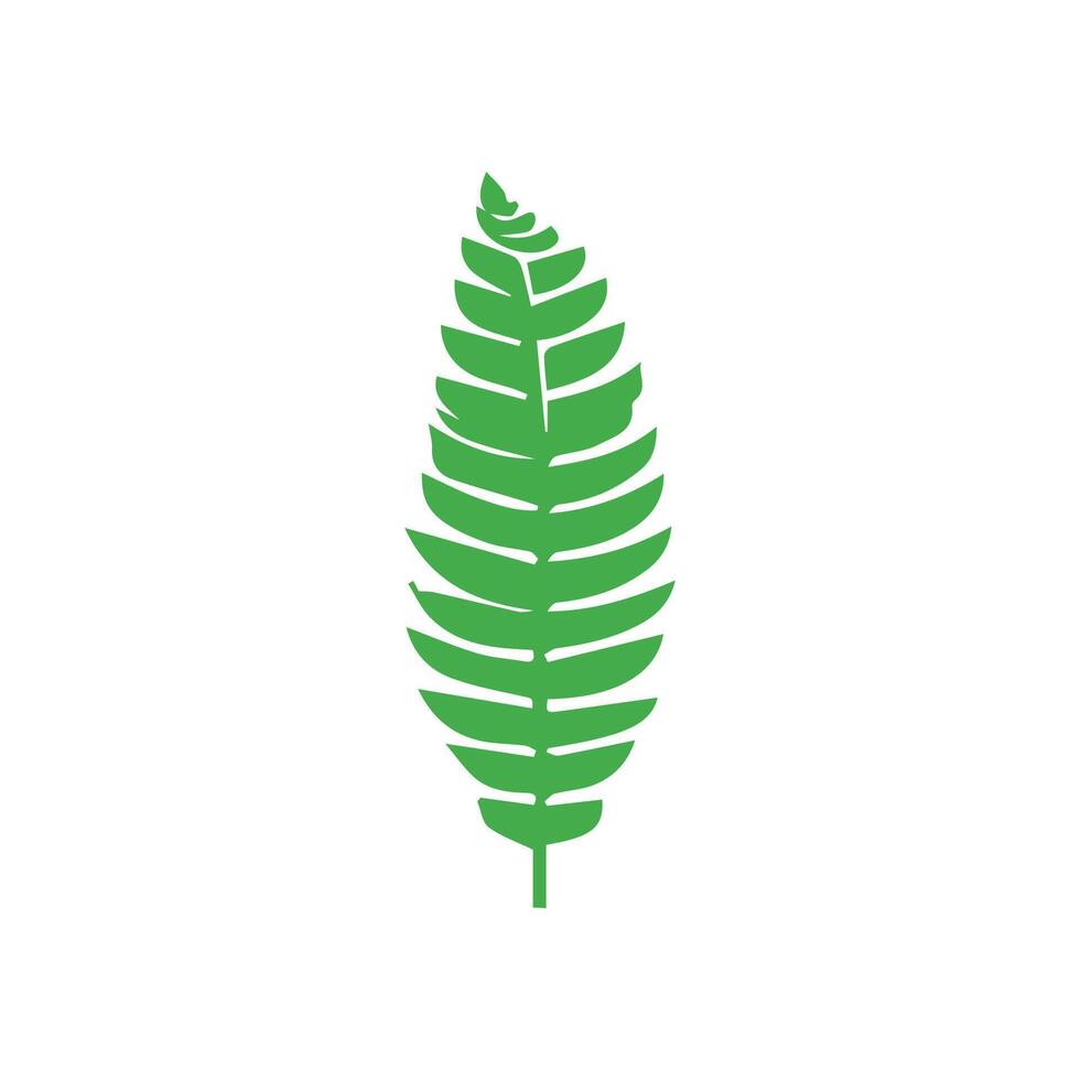 Green leaf. Leaves icon on isolated background. Collection green leaf. Elements design for natural, eco, vegan, bio labels vector