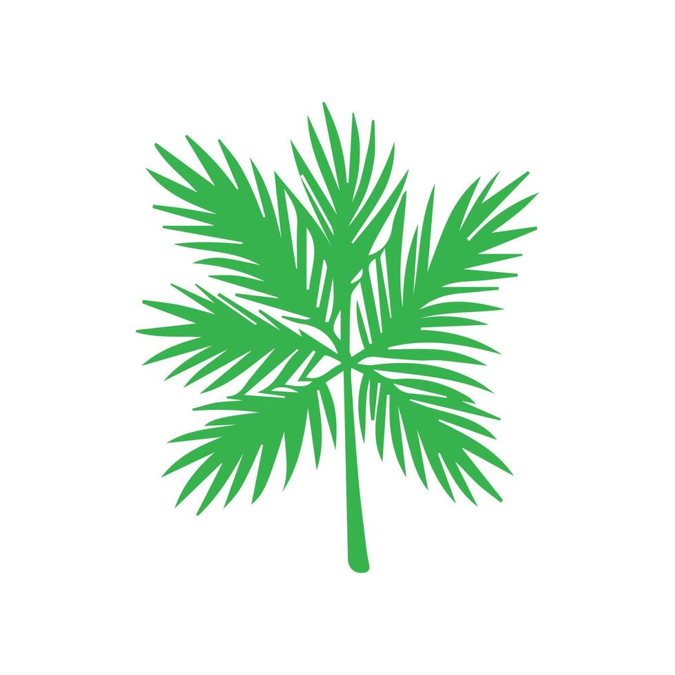 Green leaf icon. Leaves icon on isolated background. Collection green leaf. Elements design for natural, eco, vegan, bio labels vector