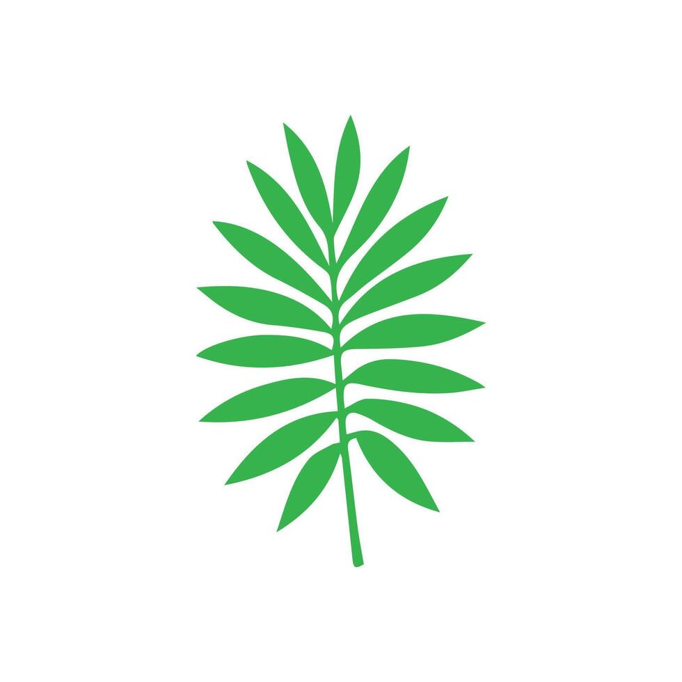 Green leaf icon. Leaves icon on isolated background. Collection green leaf. Elements design for natural, eco, vegan, bio labels vector