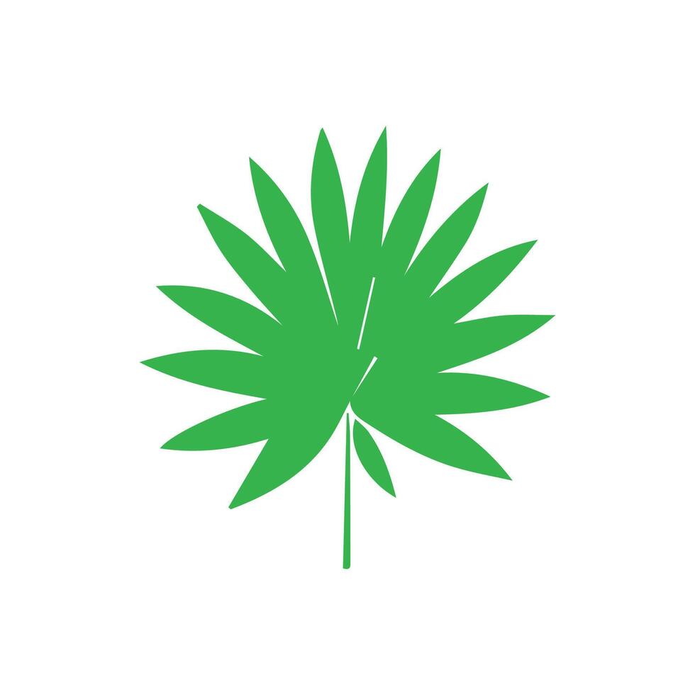 Green leaf icon. Leaves icon on isolated background. Collection green leaf. Elements design for natural, eco, vegan, bio labels vector