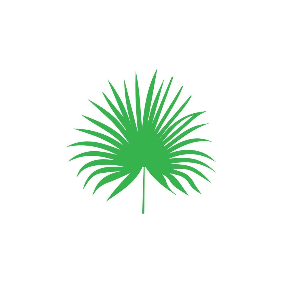 Green leaf icon. Leaves icon on isolated background. Collection green leaf. Elements design for natural, eco, vegan, bio labels vector