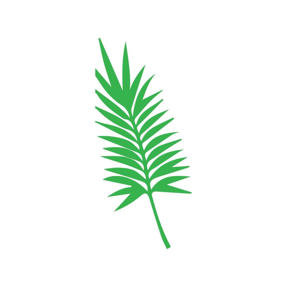 Green leaf icon. Leaves icon on isolated background. Collection green leaf. Elements design for natural, eco, vegan, bio labels vector