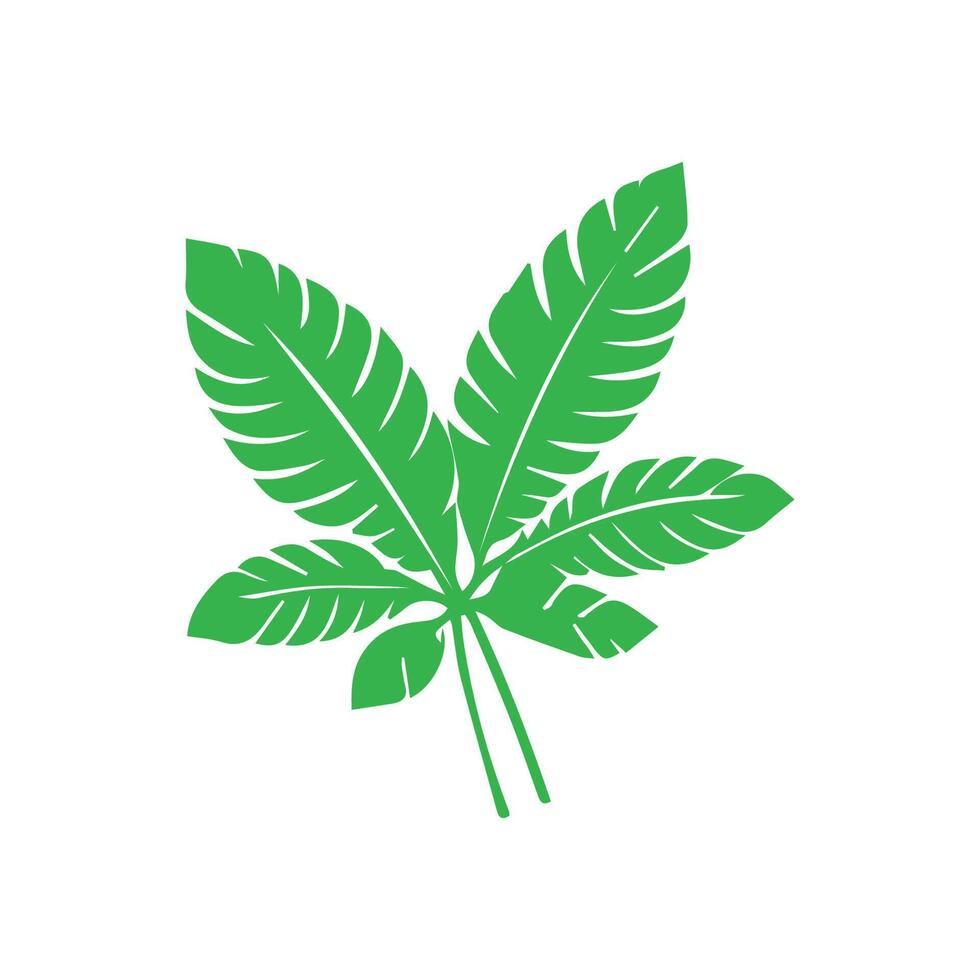 Green leaf icon. Leaves icon on isolated background. Collection green leaf. Elements design for natural, eco, vegan, bio labels vector