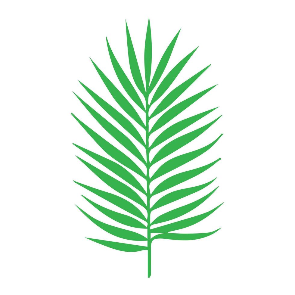Green leaf icon. Leaves icon on isolated background. Collection green leaf. Elements design for natural, eco, vegan, bio labels vector