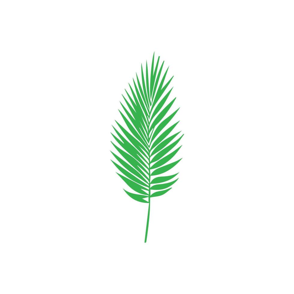 Green leaf icon. Leaves icon on isolated background. Collection green leaf. Elements design for natural, eco, vegan, bio labels vector