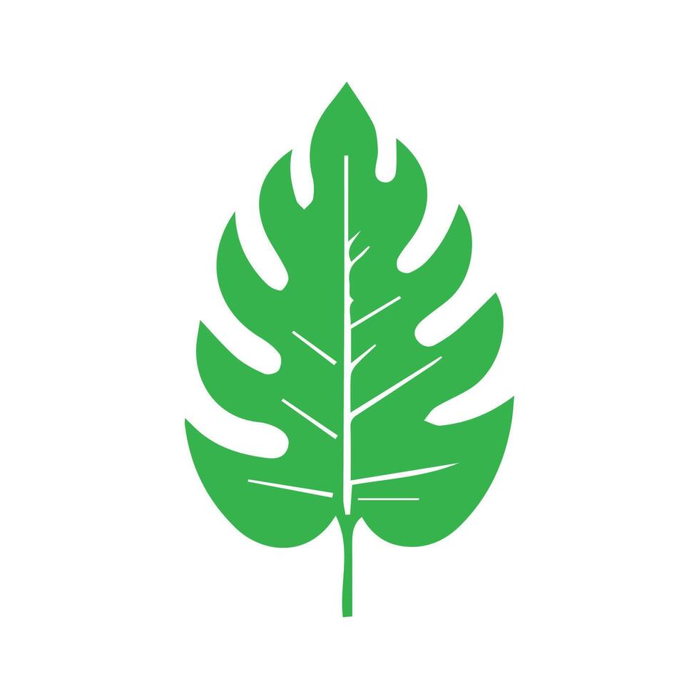 Green leaf icon. Leaves icon on isolated background. Collection green leaf. Elements design for natural, eco, vegan, bio labels vector