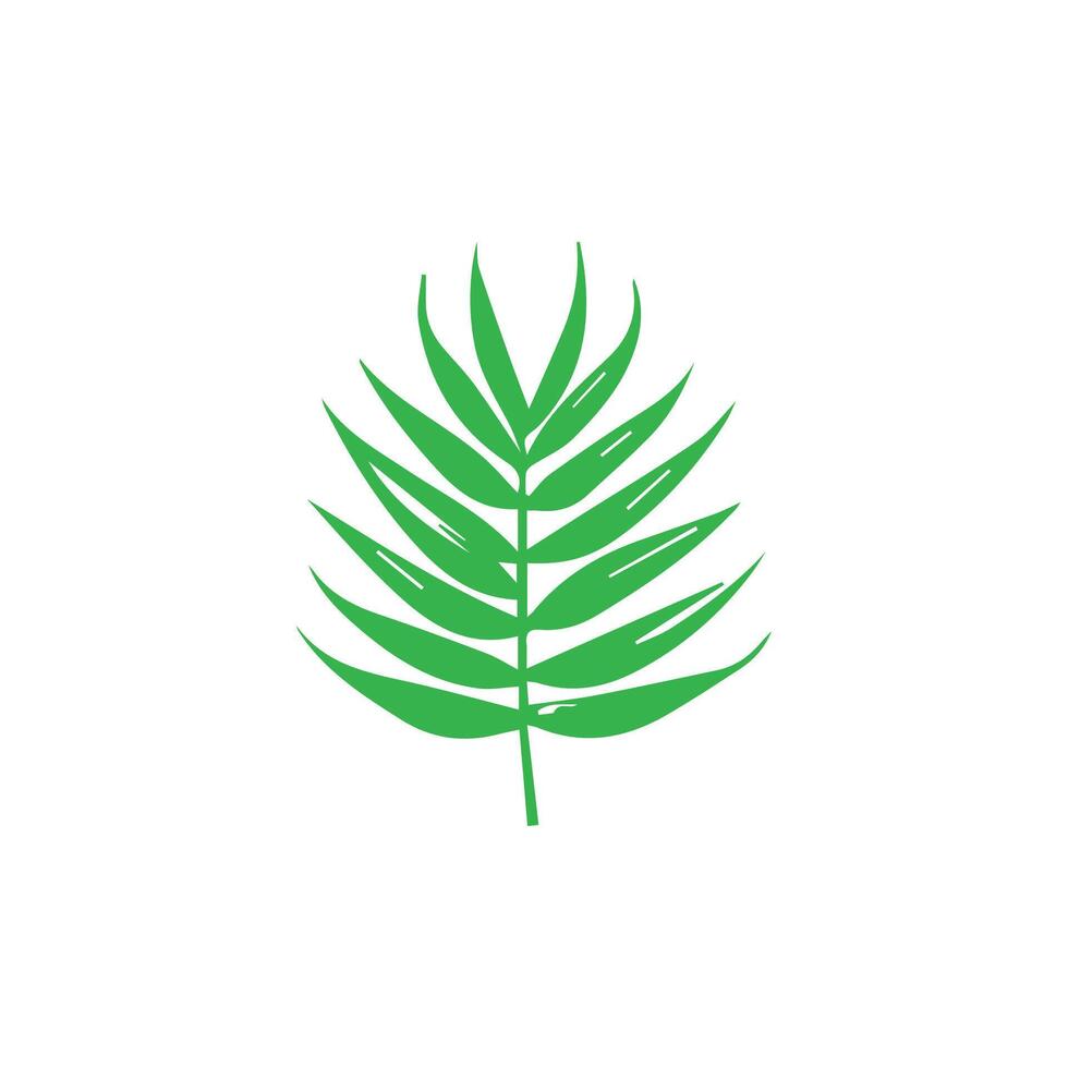 Green leaf icon. Leaves icon on isolated background. Collection green leaf. Elements design for natural, eco, vegan, bio labels vector