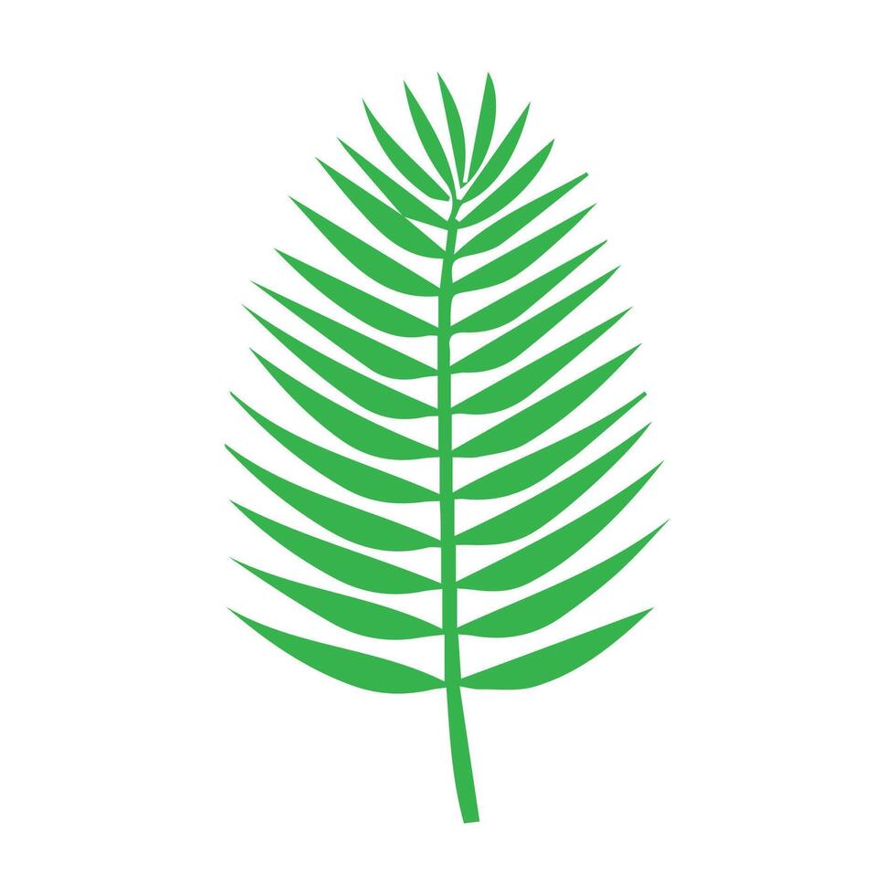 Green leaf icon. Leaves icon on isolated background. Collection green leaf. Elements design for natural, eco, vegan, bio labels vector