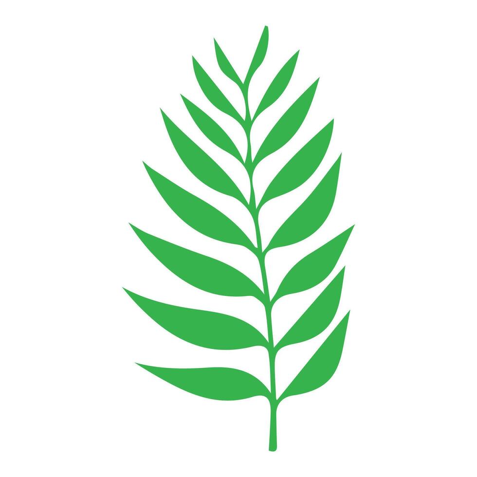 Green leaf icon. Leaves icon on isolated background. Collection green leaf. Elements design for natural, eco, vegan, bio labels vector