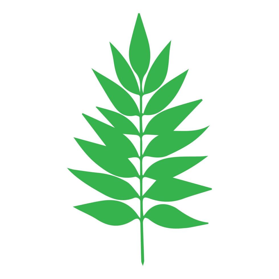 Green leaf icon. Leaves icon on isolated background. Collection green leaf. Elements design for natural, eco, vegan, bio labels vector
